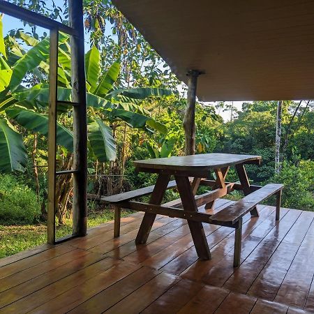 Corcovado Mountain House Hotel Drake Bay Bagian luar foto