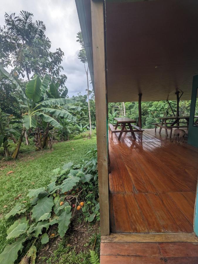 Corcovado Mountain House Hotel Drake Bay Bagian luar foto