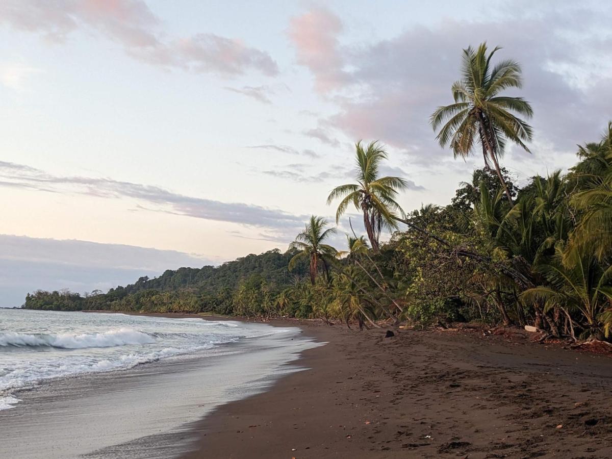 Corcovado Mountain House Hotel Drake Bay Bagian luar foto