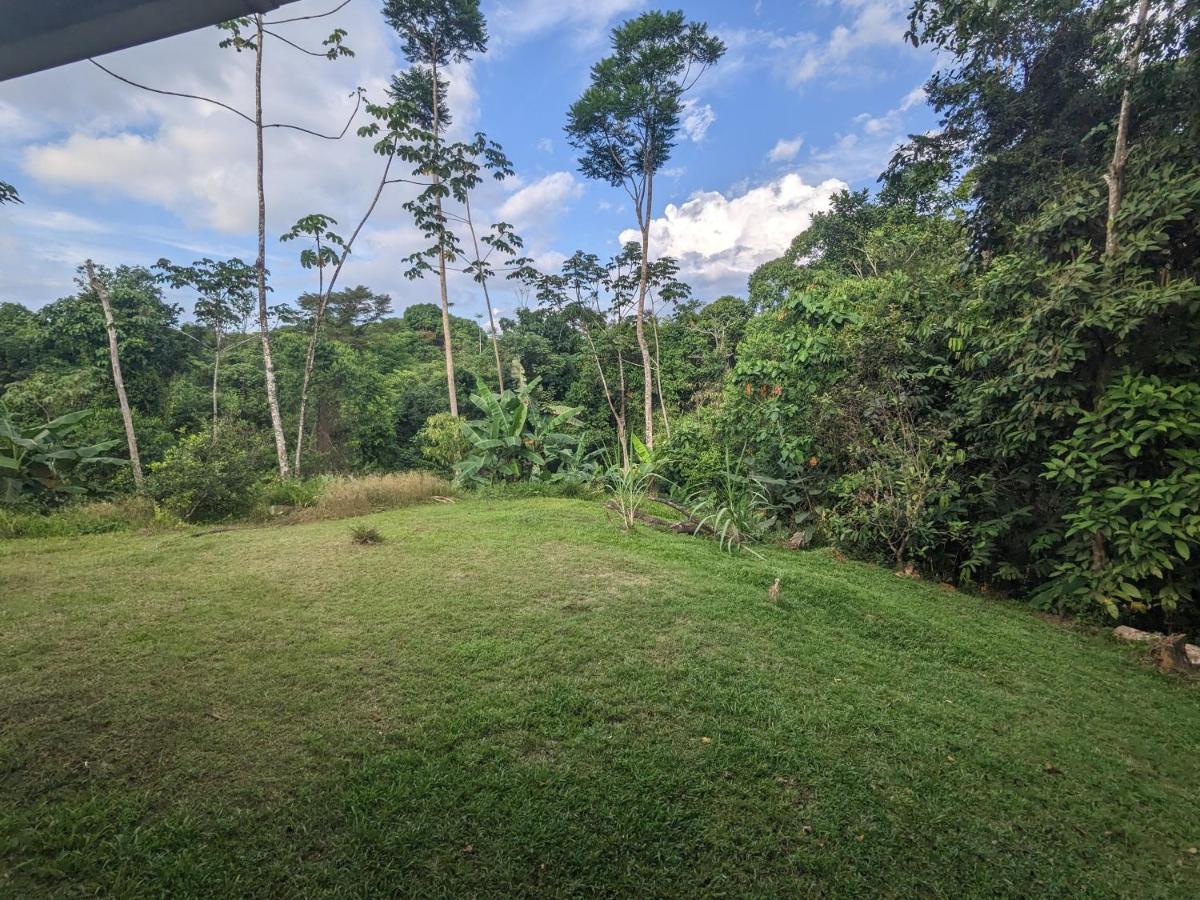Corcovado Mountain House Hotel Drake Bay Bagian luar foto