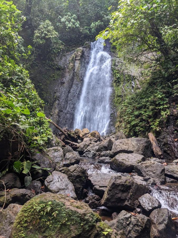 Corcovado Mountain House Hotel Drake Bay Bagian luar foto